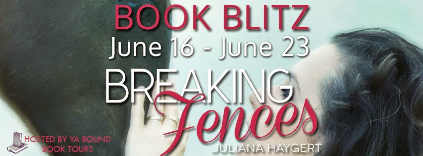 Book Blitz ‘Breaking Fences’ by Juliana Haygert