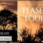 Teaser Tour ‘Baxter’s Draw’ by Juliette Harper