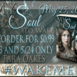 Sale Promo ‘My Soul To Wake’ by Tara Oakes