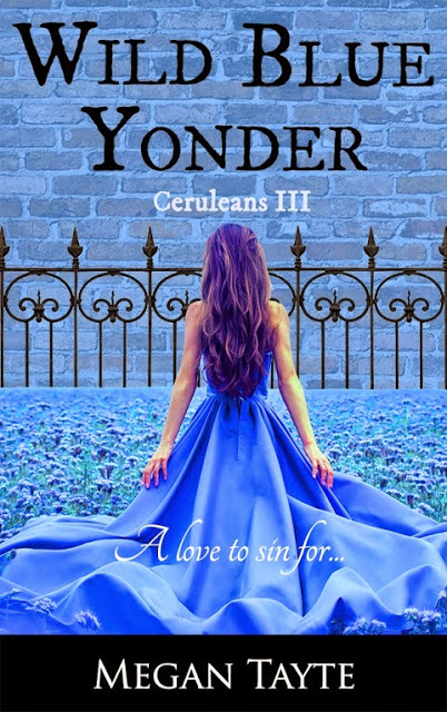 Cover Reveal ‘Wild Blue Yonder’ by Megan Tayte