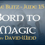 Sale Blitz ‘Born To Magic’ by David Wind