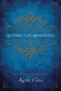 https://www.goodreads.com/book/show/22882069-antebellum-awakening