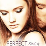 Review ‘Perfect Kind of Trouble’ by Chelsea Fine