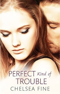 Review ‘Perfect Kind of Trouble’ by Chelsea Fine