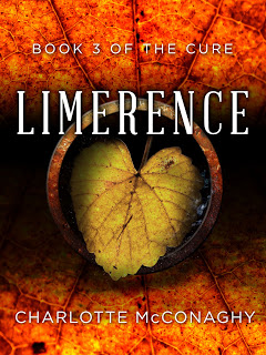 https://www.goodreads.com/book/show/26038810-limerence