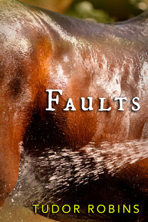 Review ‘Faults’ by Tudor Robins