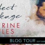 Blog Tour ‘Perfect Wreckage’ by Catherine Cowles