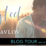 Blog Tour ‘Tangled’ by Laura Pavlov