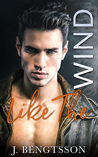 Review ‘Like The Wind’ by J. Bengtsson